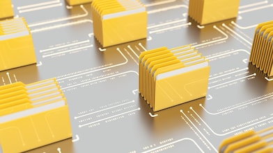 Investor Briefing Materials