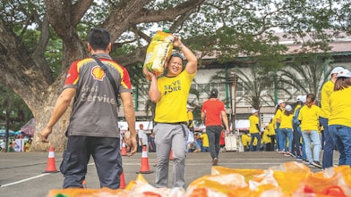 Volunteer working together