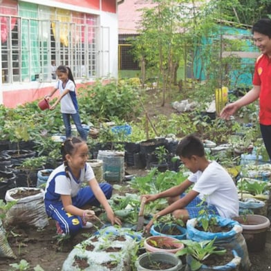 Pilipinas Shell Foundation Program